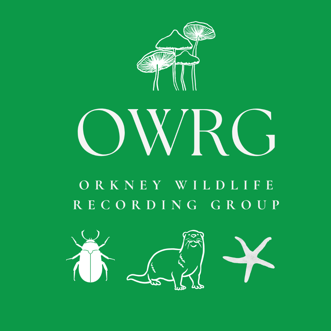 Orkney Wildlife Records Group logo
